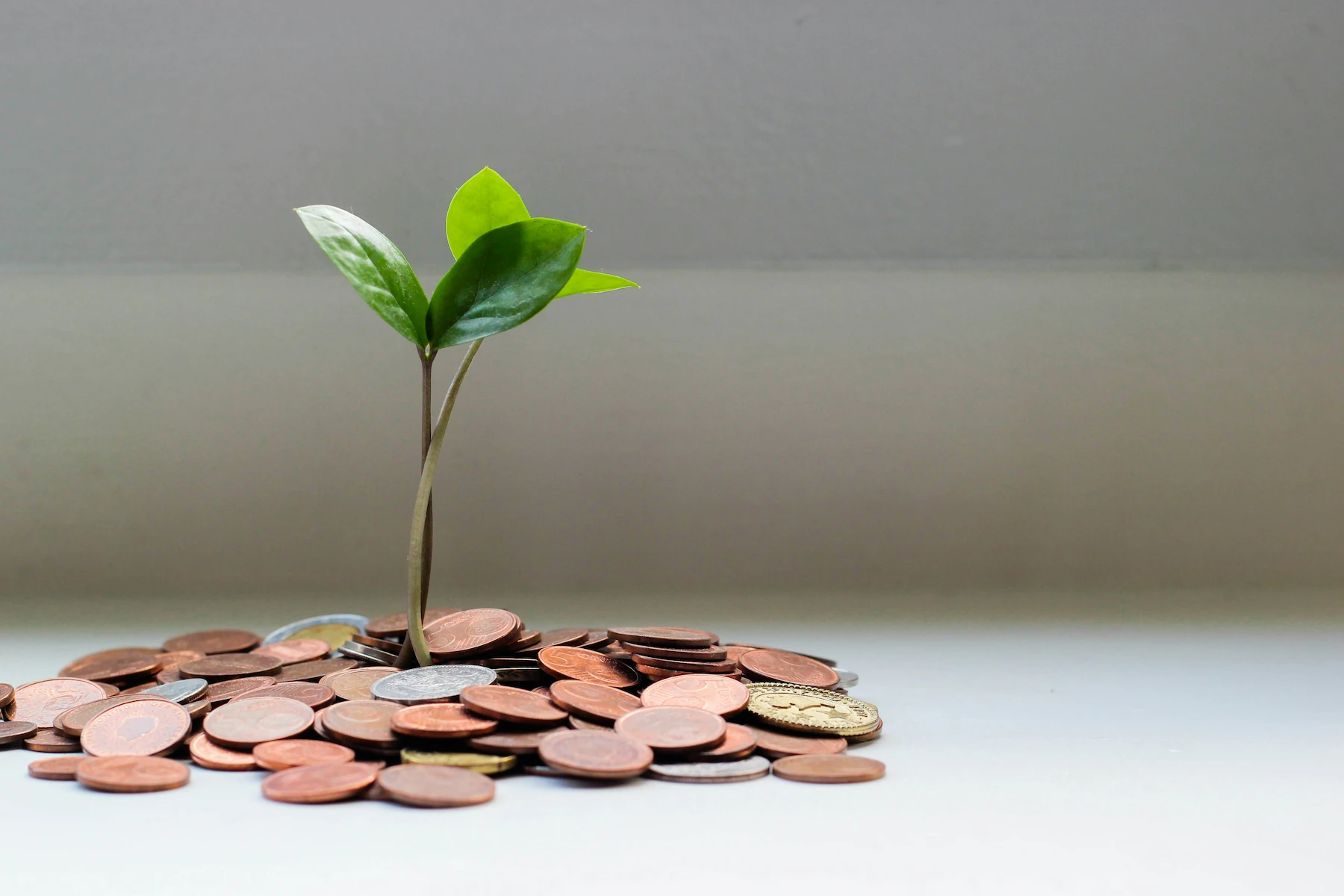 Raw Financial Incentives